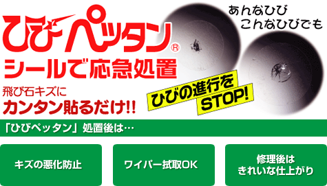 ひびペッタン 自動車ガラス専門店トータルグラス 長野県松本市 自動車フロントガラス 修理 交換 販売